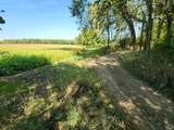 7050 Van Guilder Road - Photo 21