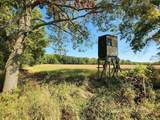 7050 Van Guilder Road - Photo 22