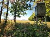 7050 Van Guilder Road - Photo 24