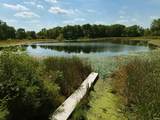 7050 Van Guilder Road - Photo 7