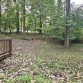 1018 Forest View Drive - Photo 36