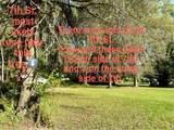 11861 6th Street - Photo 5