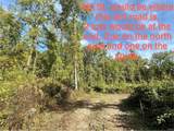 11861 6th Street - Photo 6