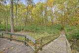 4231 Black Forest Lane - Photo 5