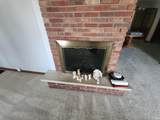 112 Beckley Street - Photo 11