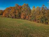 8381 State Route 351 Highway - Photo 27