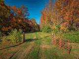 8381 State Route 351 Highway - Photo 5