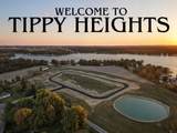 Lot 40 Tippy View Drive - Photo 11