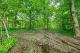 Tract 1 Us Hwy 231 - Photo 12