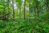 Tract 5 Hudson Hill Road - Photo 11