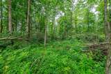Tract 6 Hudson Hill Road - Photo 11