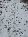  700 S Road - Photo 14