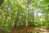 Lot 63 Viking Ridge Road - Photo 1
