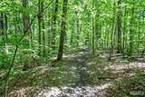Lot 63 Viking Ridge Road - Photo 3