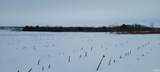 42+/- Acres Wampler Road - Photo 7