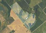 128.9+/- Acres Wampler Road - Photo 21