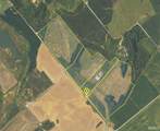 128.9+/- Acres Wampler Road - Photo 31