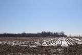 TBD Family Dollar Parkway - Photo 10