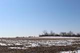 TBD Family Dollar Parkway - Photo 8