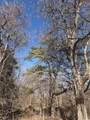 826 Emily Street - Photo 2