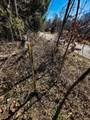3002 Old State Road - Photo 6