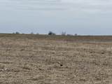 Lot 1 Cr 925 - Photo 2
