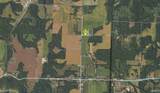 8545 County Road 475 - Photo 18