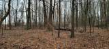 8545 County Road 475 - Photo 4