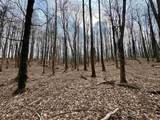 off New Cut Road - Photo 13