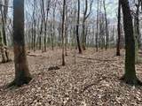 off New Cut Road - Photo 26