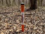 off New Cut Road - Photo 6