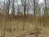 0 Pilot Knob Road - Photo 20