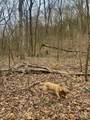 0 Pilot Knob Road - Photo 21