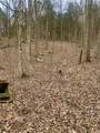 0 Pilot Knob Road - Photo 22