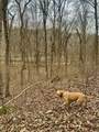 0 Pilot Knob Road - Photo 23