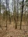 0 Pilot Knob Road - Photo 25