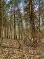 0 Pilot Knob Road - Photo 26