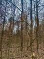 0 Pilot Knob Road - Photo 28