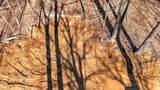 7594 Shilo Road - Photo 9