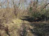off Lily Road - Photo 10
