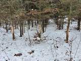 900 S County Road - Photo 9