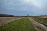 0000 County Road 50 E Road - Photo 22