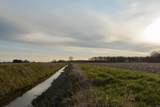 0000 County Road 50 E Road - Photo 28