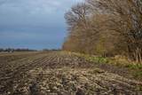 0000 County Road 50 E Road - Photo 29