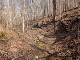 9010 Texas Ridge Road - Photo 13