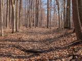 9010 Texas Ridge Road - Photo 20