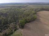 498 Dicksburg Hills Road - Photo 11