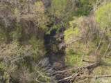 498 Dicksburg Hills Road - Photo 4