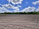 4681 350 W - Photo 9