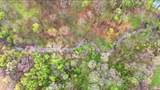 0 50 E. - Photo 26